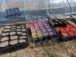 トレー上に置いたポット