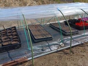 水くれしてトンネルへ