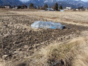 風で吹き飛んだビニールハウス