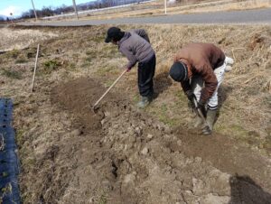 苗用トンネル作り① 整地