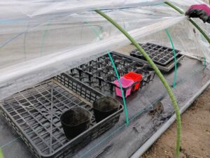 苗用トレー設置