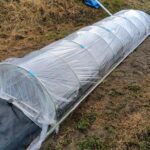 苗用トンネル完成