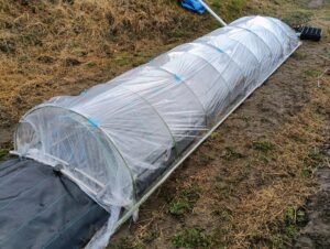 苗用トンネル完成