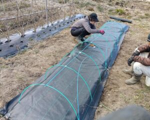 ポールをとめる