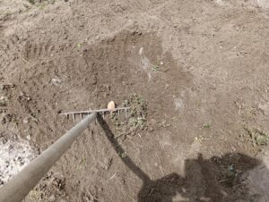 スキージでの草除去